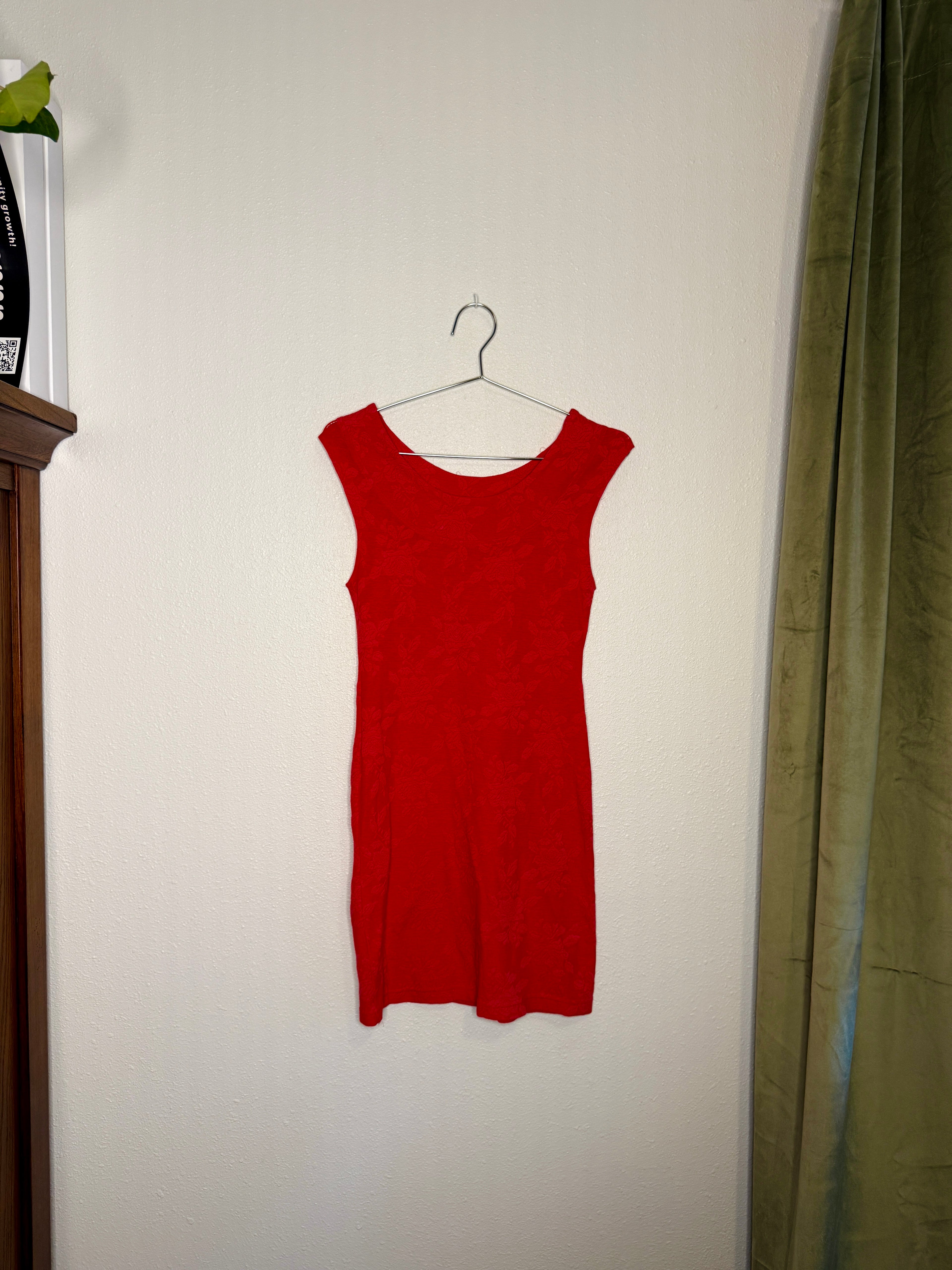 Vintage Red Rose Minidress